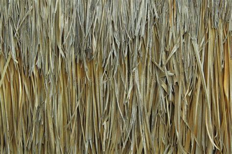 Hay Roof Wall Hut Coverage Texture Natural Material Background Stock