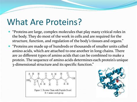 Ppt Proteins Powerpoint Presentation Free Download Id3049299