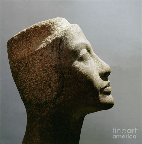 Nefertiti Wife Of Akhenaton Photograph By Egyptian School Fine Art