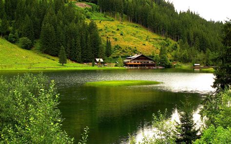 Nature Scenery Mountains Trees River House Green
