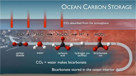 Basics Of Ocean Acidification Science Matters