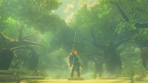 Link Master Sword Breath Of The Wild Zelda Vgculturehq