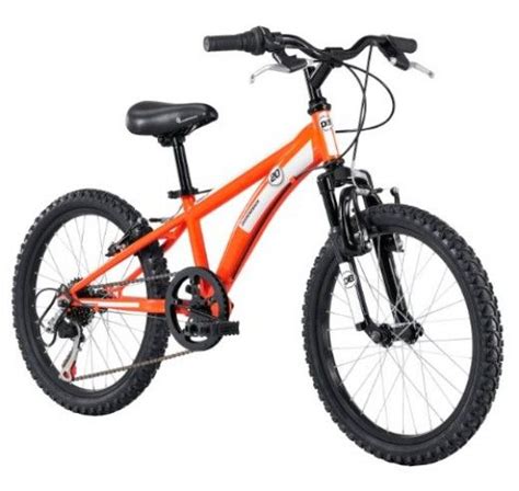 Sale Boys 20 Inch Mountain Bike In Stock