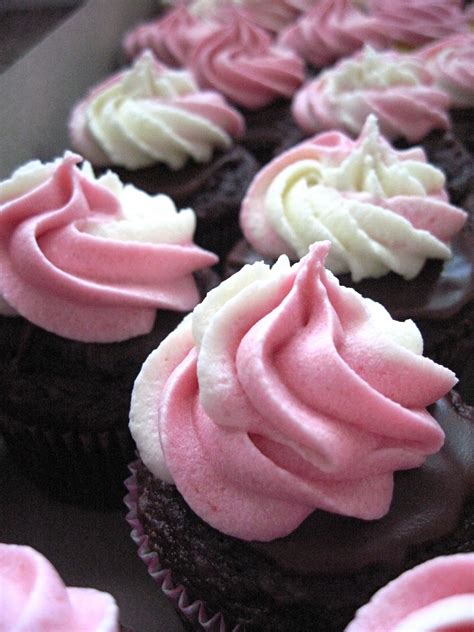 chocolate strawberry cream cupcakes your cup of cake