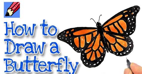 How To Draw A Beautiful Butterfly On A Flower Art For Kids Hub — How