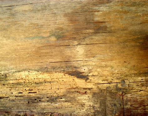 Stock Texture Grunge Wood Iii By Rockgem On Deviantart