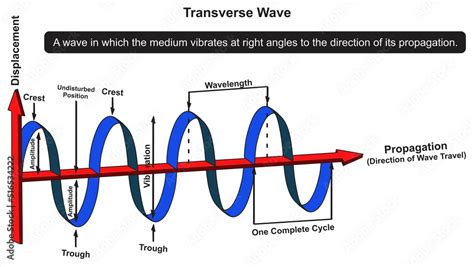 Fototapeta Transverse Wave Infographic Diagram Physics Science