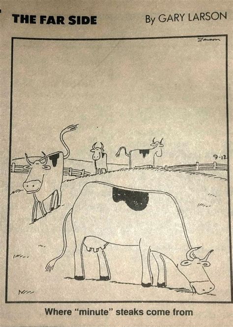 106 Best Cartoons Cows Images On Pinterest Humour Gary Larson