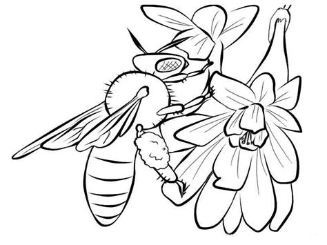 Bees Coloring Pages Realistic | Realistic Coloring Pages
