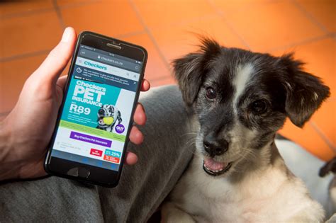 A waiting period is the amount of time that needs to pass before certain coverage kicks in. Stocktake: Checkers targets pet owners with insurance ...
