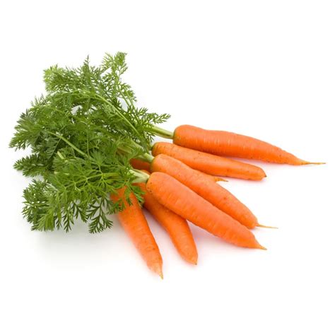 Bunched Carrots Freshly Harvested From The Pfalz Region