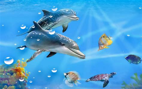 44 Live Dolphin Wallpaper On Wallpapersafari