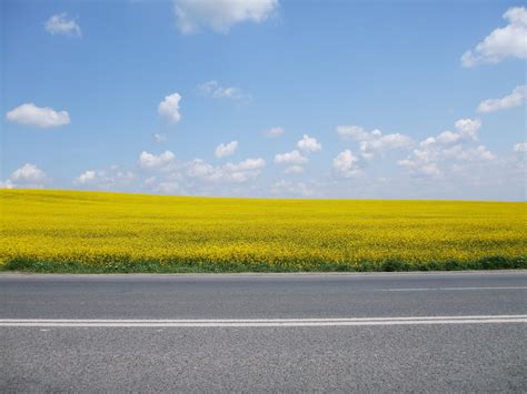 Yellow Road Free Photo Download Freeimages