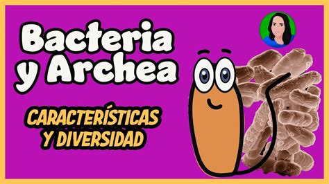 Bacteria y Archaea Características de dominios y diversidad YouTube