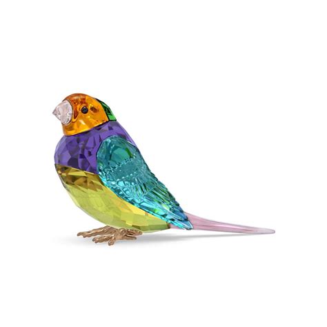 Swarovski Scs Idyllia Scs Gouldian Finch Small 5689266 Rivoli