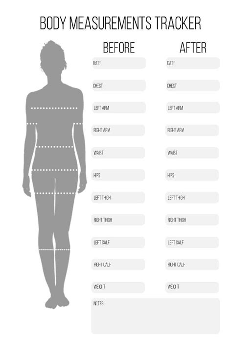 Body Measurements Tracker Track Progression On Your Body Body