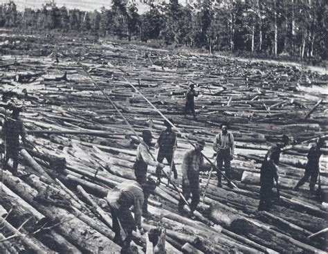 How The Loggers Got The Logs To The Mill On The River Road Michigan