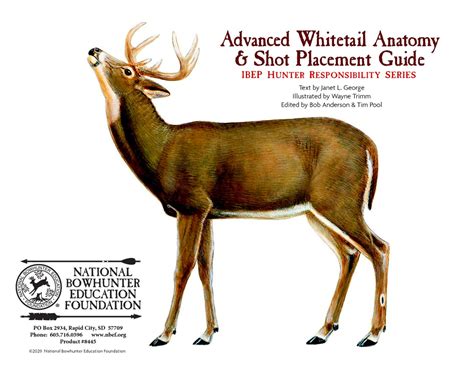 Advanced Whitetail Deer Anatomy And Shot Placement Guide W Overlays Nbef