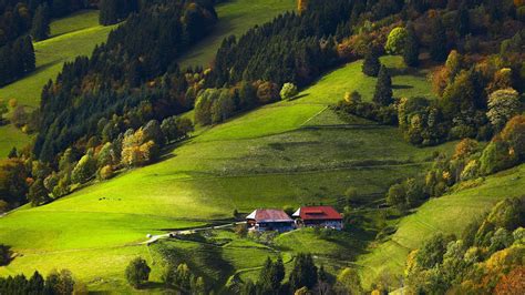 Free Download Germany Black Forest Fields Forests Wallpaper Black