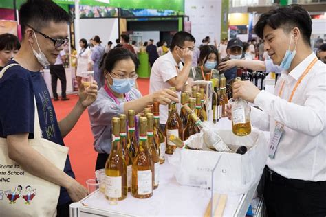 【economic Watch China Ceec Trade Booming With Bright Prospects