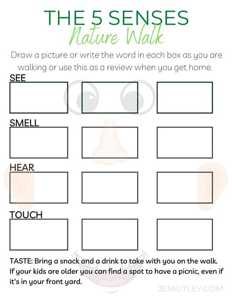 5 Senses Nature Walk Worksheet