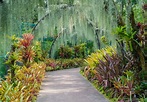 National Orchid Garden Singapore - Ticket Price & Opening Hours