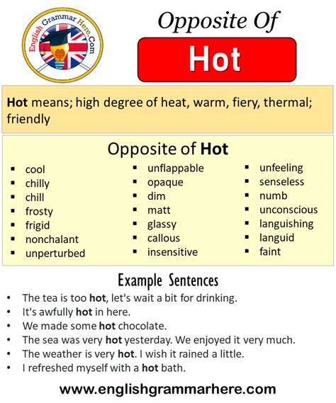 Opposite Of Hot Antonyms Of Hot Meaning And Example Sentences Antonym Opposite Words