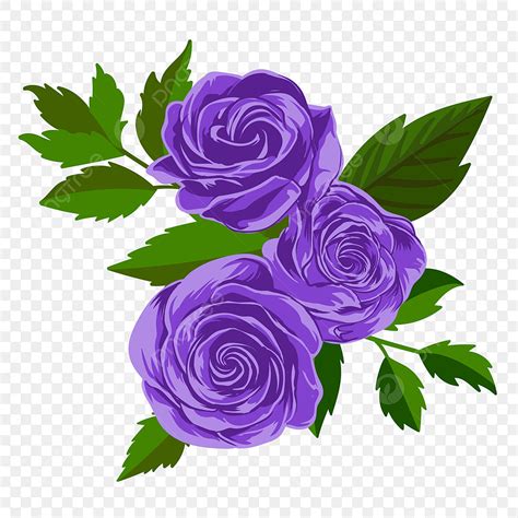 Purple Rose Transparent Purple Flower Border Instructional Tech
