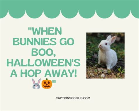300 Bunny Captions For Instagram Hop Into More Likes