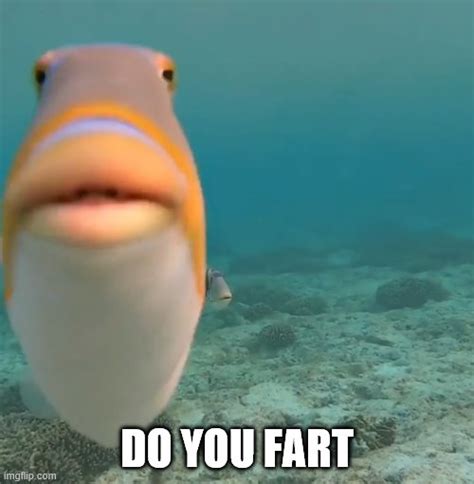 Do You Fart Imgflip
