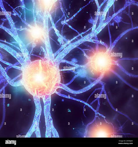 Microscopic View Of The Synapses Brain Connections Neurons And