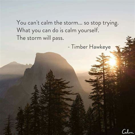 You Cant Calm The Storm So Stop Trying What You Can Do Is Calm Yourself The Storm Will Pass