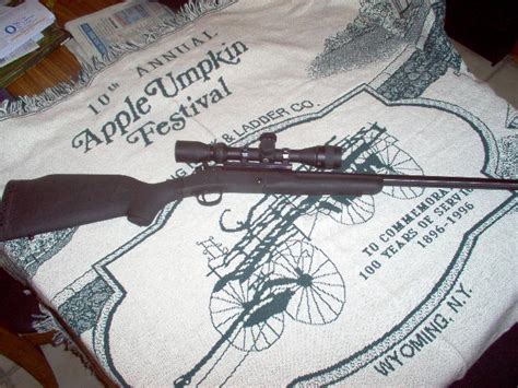 New England Firearms Co New England Arms 17hmr For Sale At Gunauction