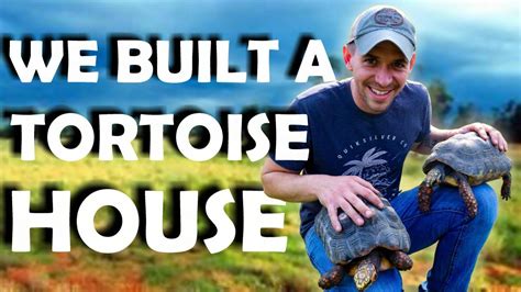 Building A Tortoise Shelter It Took Us 3 Months Youtube