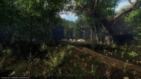 Forest Lighting Cryengine Brian Leleux Forest Country Roads Explore