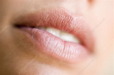 Womans Mouth Stock Image F0012129 Science Photo