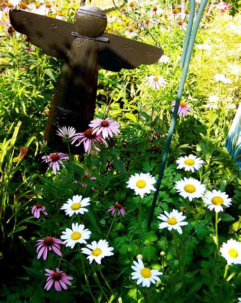 Garden Angel Shasta Daisies And Coneflowers Iloveflowers2