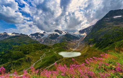 Wallpaper Summer Flowers Mountains Lake Hills The Slopes View