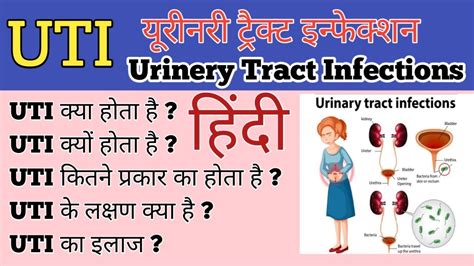 Uti Urinary Tract Infections In Hindi Symptoms Types Treatment