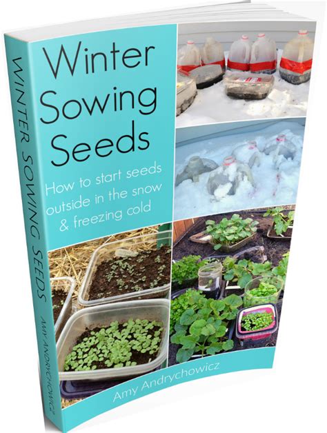 Winter Sowing Seeds Ebook Winter Vegetables Seeds