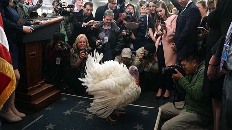 the unusual origin of the thanksgiving presidential turkey pardon
