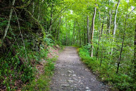 Big Creek Trail Great Smoky Mountains National Park