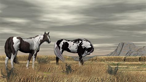 Wild Horses Digital Art By Walter Colvin