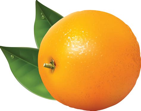 Orange Png Image Purepng Free Transparent Cc0 Png Image Library