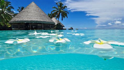 Tropical Paradise Desktop Wallpapers Top Free Tropical Paradise