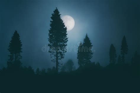 Luna Piena Sulla Foresta Spettrale Scura Alla Notte Fotografia Stock