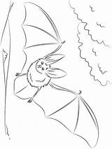 Fledermaus Malvorlagen sketch template