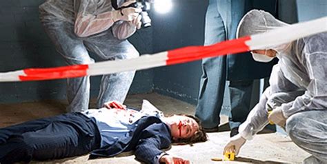 Forensic Do You Have What It Takes To Be A Crime Scene Investigator