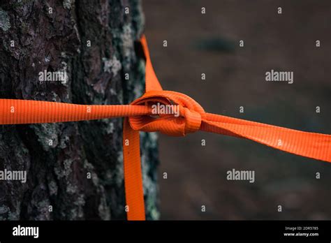 cuerda atada en tronco de árbol fotografías e imágenes de alta resolución alamy