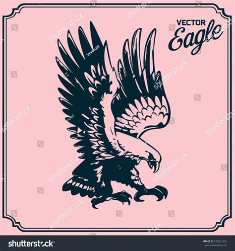 Swooping Eagle เวกเตอร์สต็อก ปลอดค่าลิขสิทธิ์ 100571953